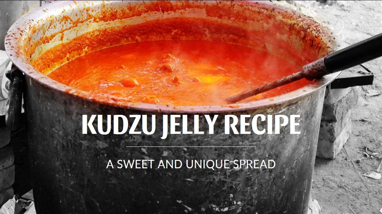 Kudzu Jelly Recipe